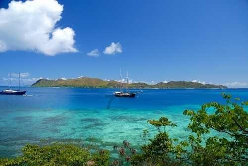 有传闻称京东紧急制定主播招聘计划 不考核GMV和毛利等