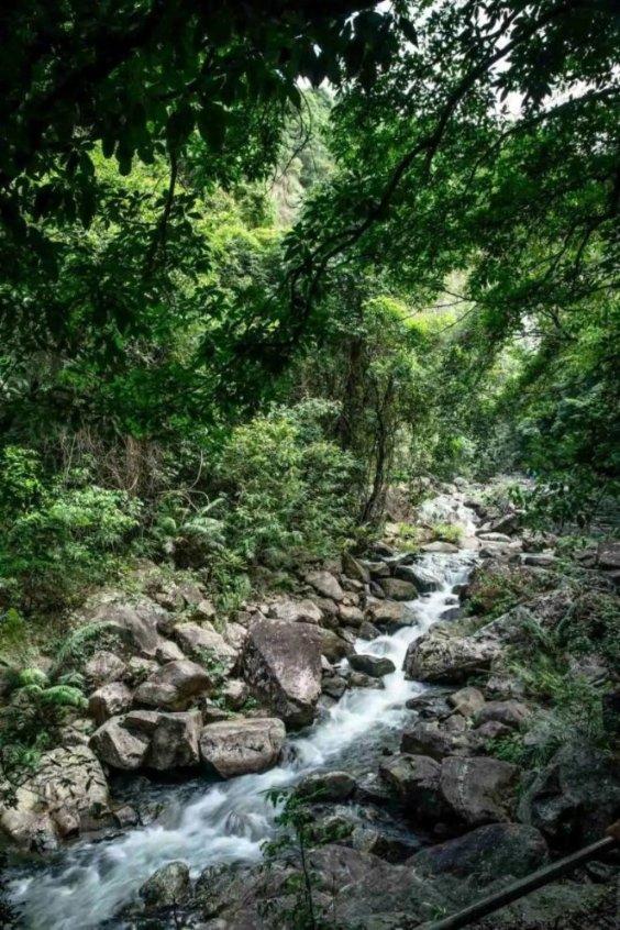 三国志：汉末霸业