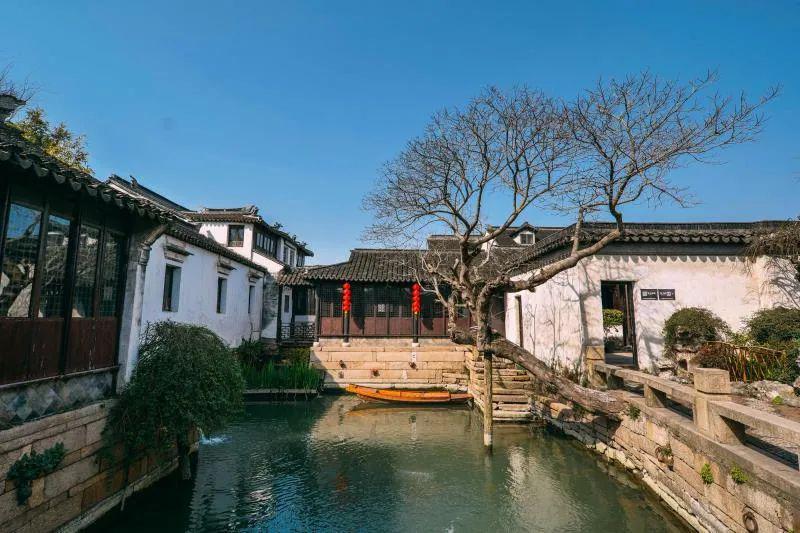 哈尔滨巨龙冰雕被掰断牙齿，曾获比赛金奖，景区回应不会追责格局大